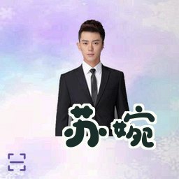 苏婉